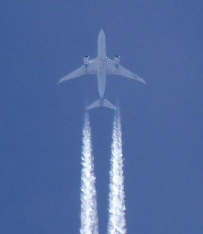 Boeing 787-9 Dreamliner (CC-BBG)