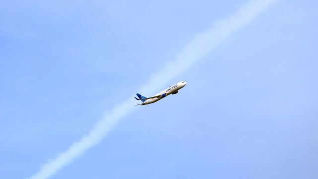 BOEING 767-300 (N664UA)