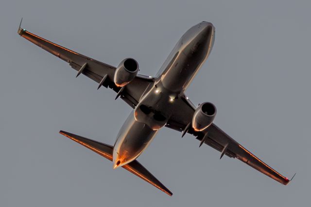 Boeing 737-800 —