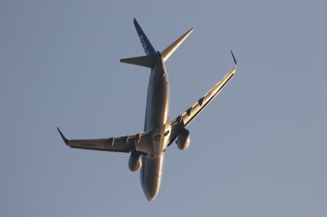 Boeing 737-800 (JA68AN) - 05 August 2015:HKD-KIX.