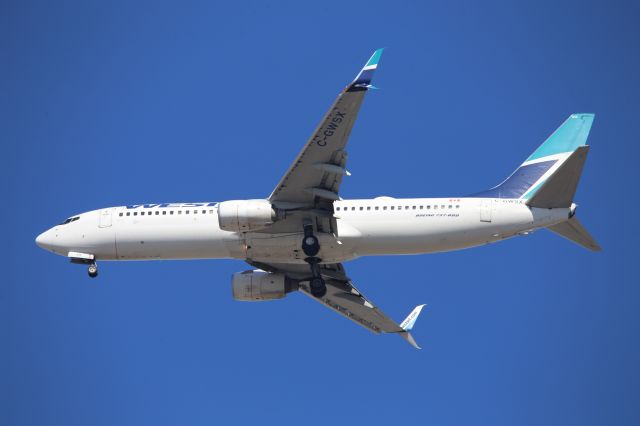 Boeing 737-800 (C-GWSX)