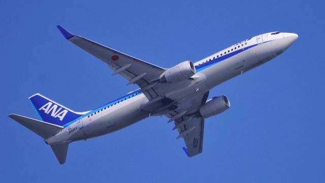 Boeing 737-800 (JA62AN)