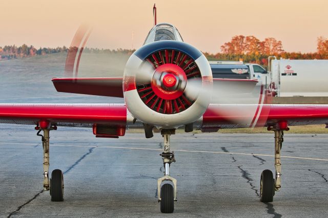 YAKOVLEV Yak-52 (N822AL)