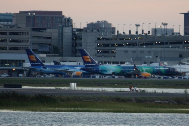 Boeing 757-200 (TF-FIR) - Both Icelandair B757-200s in the airlines special liveries parked together at Boston Logan on 08/17/17. 