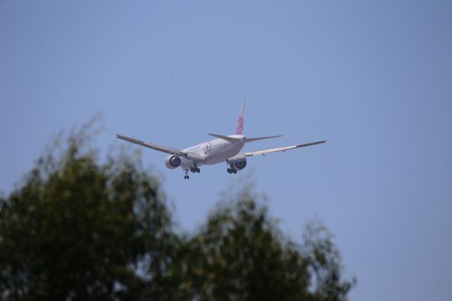 BOEING 777-300ER (B-18006)