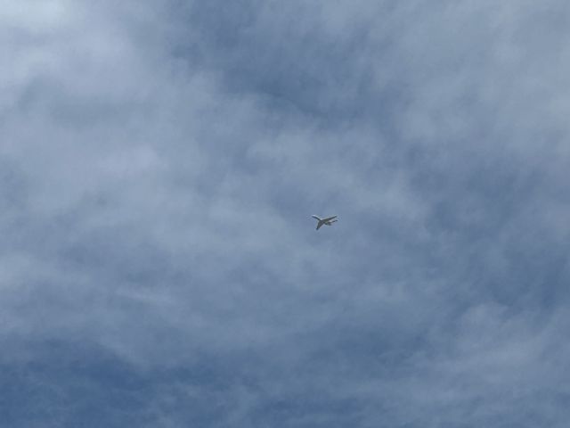 Gulfstream Aerospace Gulfstream V (N803TM) - Globe and flightradar24 for information 