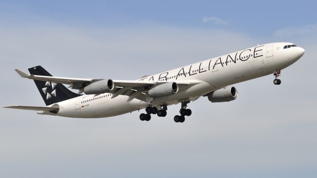 Airbus A340-300 (D-AIGN)