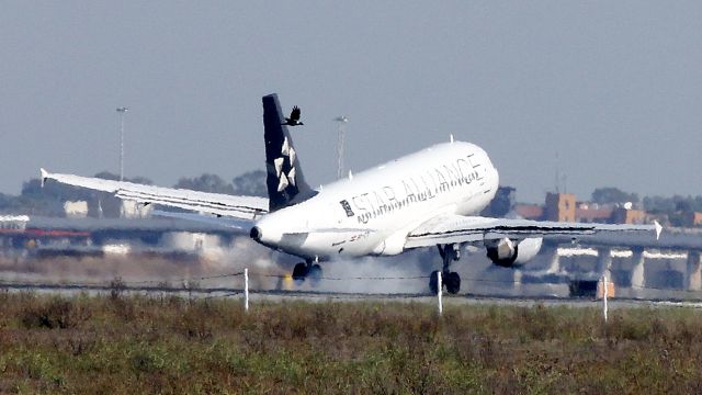 Airbus A319 (9A-CTI)