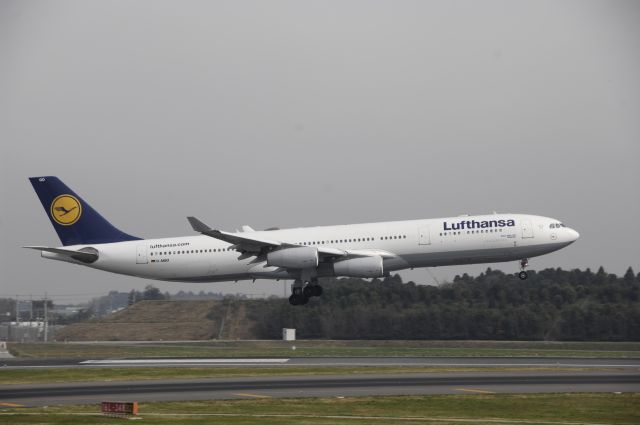 Airbus A340-300 (D-AIGO) - Landing at NRT Airport Runway 16L on 2011/11/3