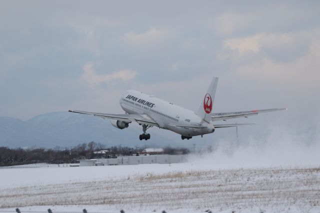 BOEING 767-300 (JA8986) - 17 December 2016:HKD-HND.