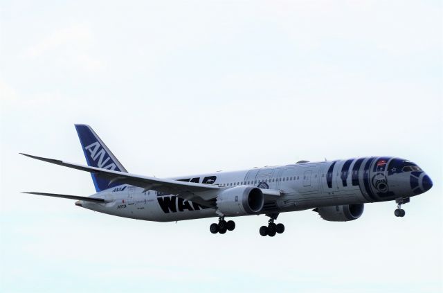 Boeing 787-9 Dreamliner (JA873A) - LANDING - MALPENSA (MXP) - 11/08/2018