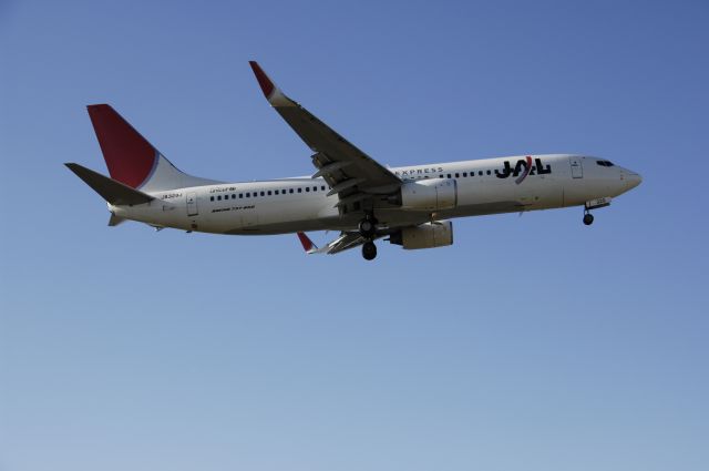 Boeing 737-800 (JA329J) - Final Approach to NRT Airport Runway 34R on 2011/12/30 JAL c/s