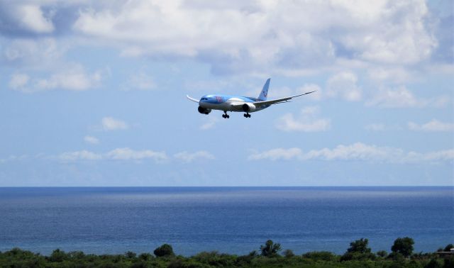 Boeing 787-8 (G-TUIH)