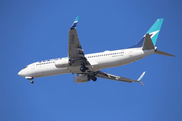Boeing 737-800 (C-GWSX)