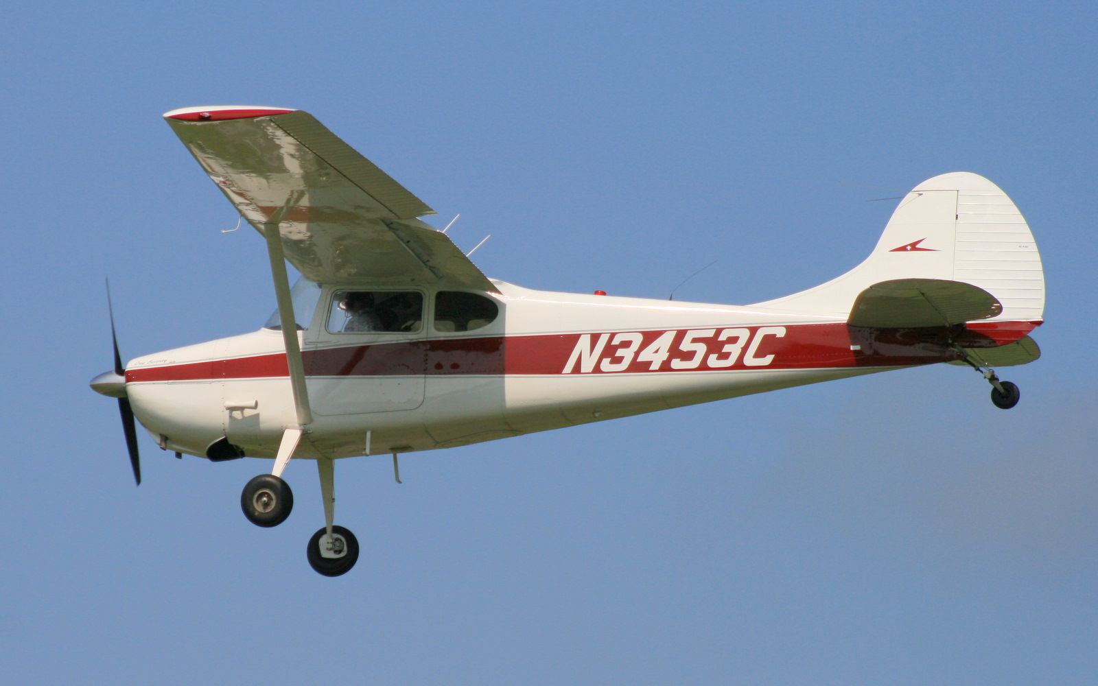 Cessna 170 (N3453C) - 1954 Cessna 170