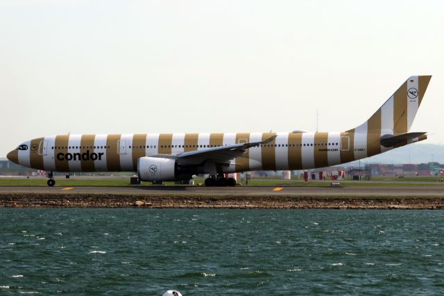 Airbus A330-900 (D-ANRJ)