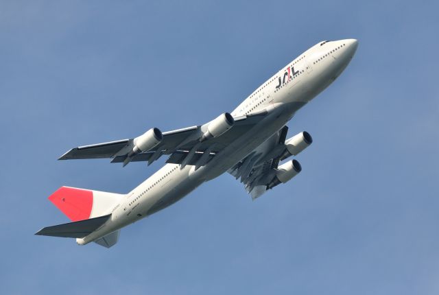 Boeing 747-400 (JA8090) - 2010/5/8