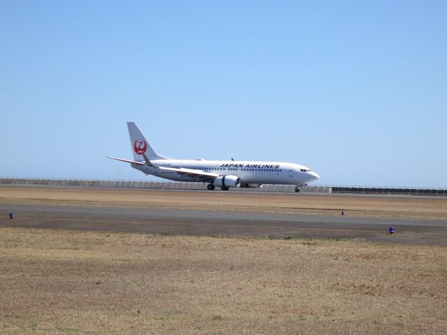 Boeing 737-800 (JA309J)