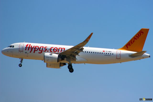 Airbus A320 (TC-NBA) - PEGASUS AIRLINES // AIRBUS A320-215 NEO  //  TC-NBA