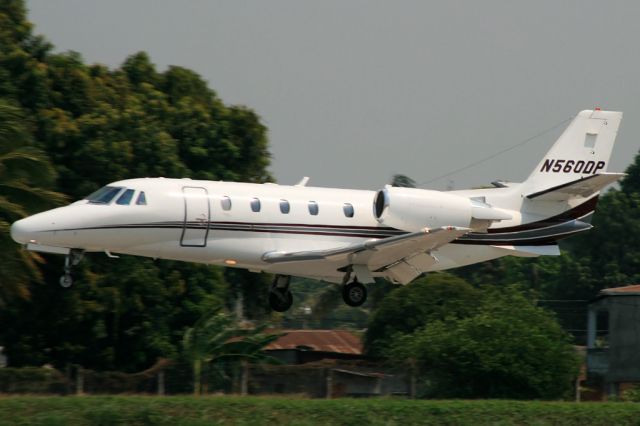 Cessna Citation Excel/XLS (N560DP)