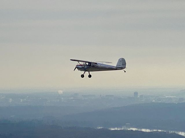 Cessna 120 (N2339N)