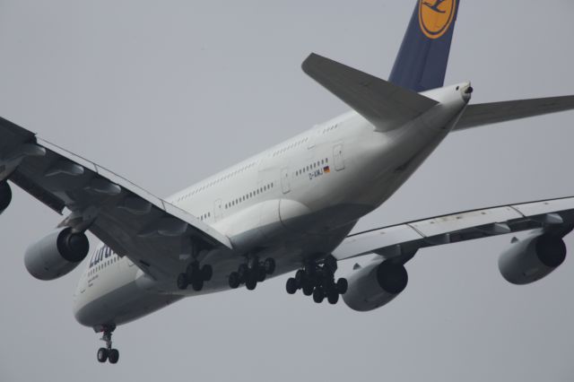 Airbus A380-800 (D-AIMJ)