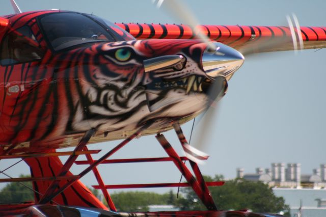 Quest Kodiak (N31JA)