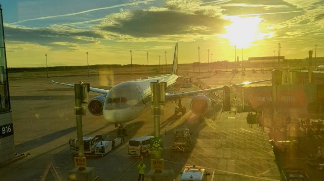 Boeing 787-8 —
