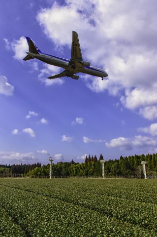 BOEING 767-300 (JA604A)
