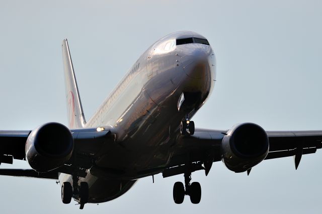 Boeing 737-800 (JA329J)