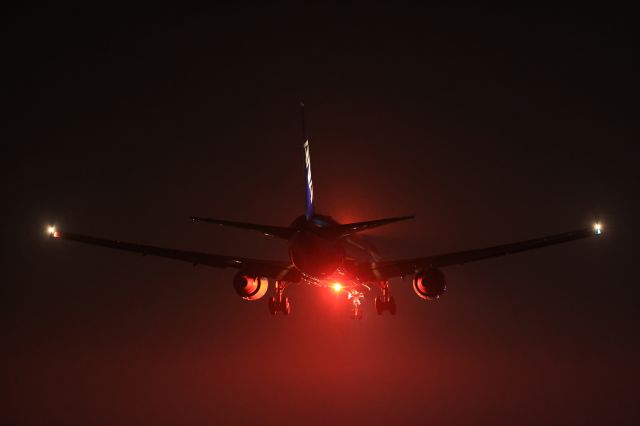 BOEING 767-300 (JA611A) - November 2nd 2020:HND-HKD.