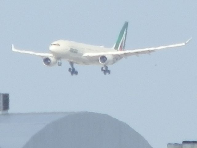 Airbus A330-200 (EI-DIP) - Basking "In The Heat Of The Afternoon!"