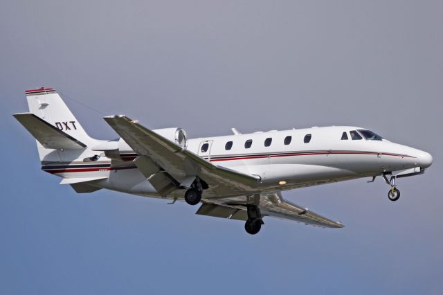 Cessna Citation Excel/XLS (CS-DXT)