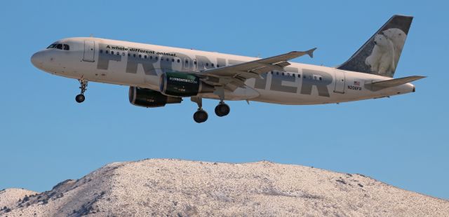 Airbus A320 (N206FR) - "Alberta and Clipper the Polar Bears" are together on the tail of FFTs N206FR as it approaches 34L for an arrival from Denver a few moments before straight-up noon. 