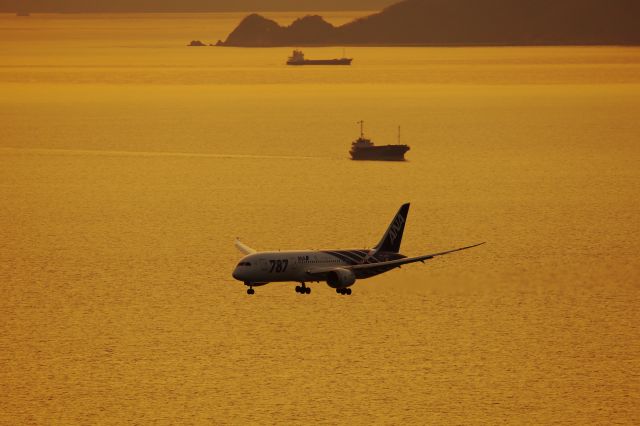 Boeing 787-8 (JA801A) - Matsuyama Airport