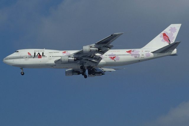 Boeing 747-200 (JA8114) - Final Approach to Narita Intl Airport Rwy34L on 1996/01/21 " JAL Resort Express c/s "