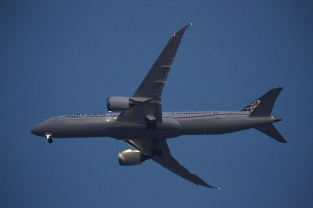 Boeing 787-9 Dreamliner (N19951)