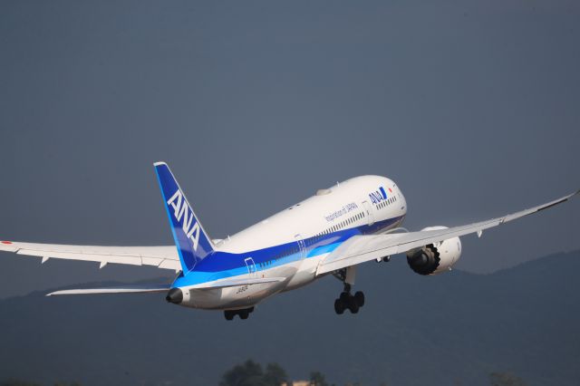 Boeing 787-8 (JA812A) - September 8th 2019:HKD-HND.