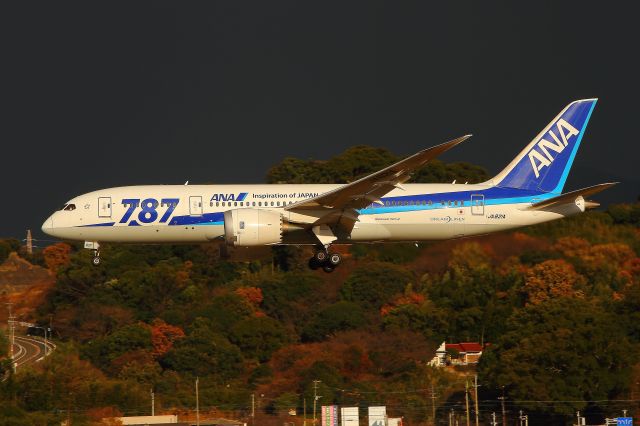 Boeing 787-8 (JA821A)