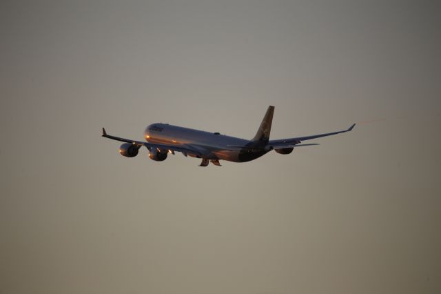 Airbus A340-600 (D-AIHI)