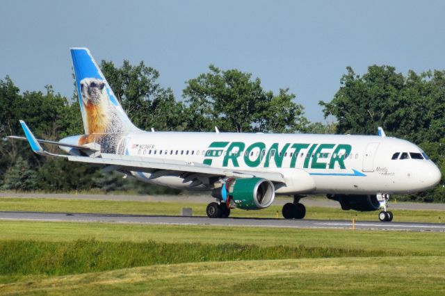 Airbus A320 (N236FR) - "Marty the Marmot" arriving into the Buffalo Niagara International Airport from Orlando (MCO)