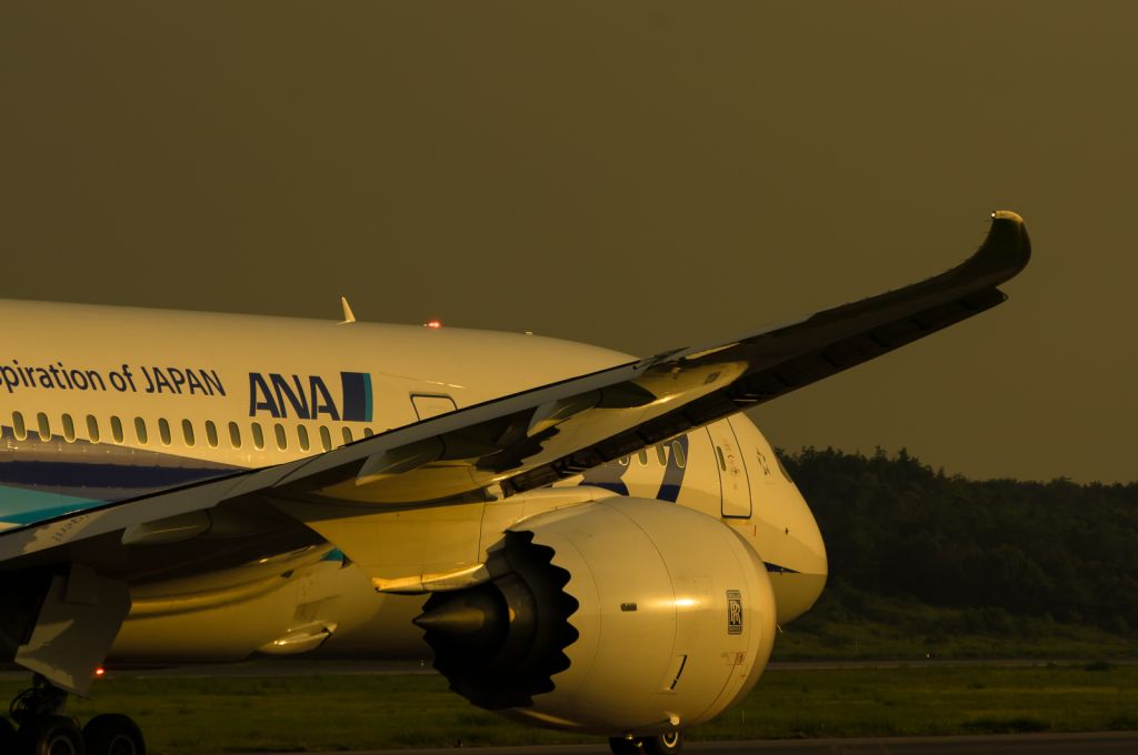 Boeing 787-8 (JA818A)