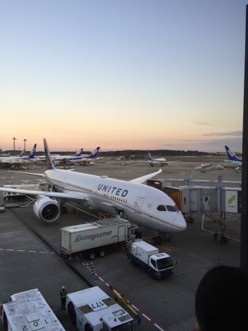 — — - Deplaning in NRT from LAX