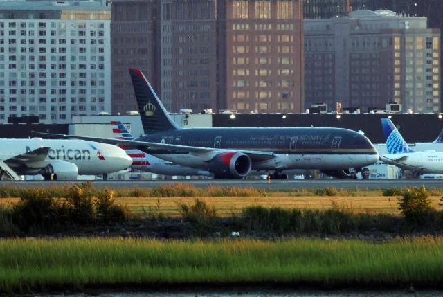 Boeing 787-8 (JY-BAF)
