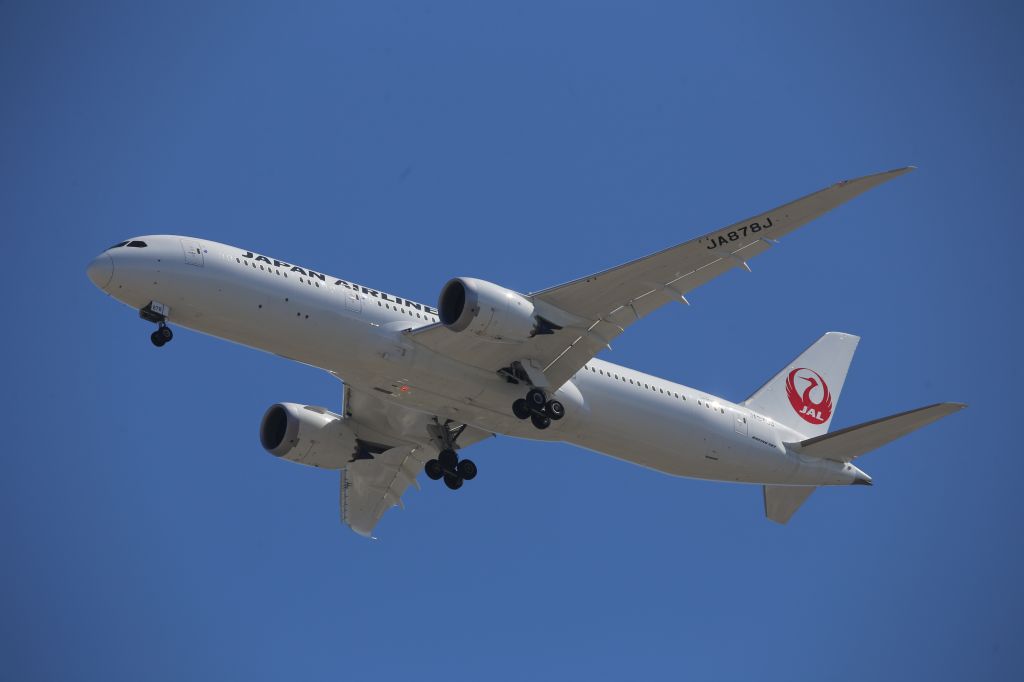 Boeing 787-8 (JA878J)