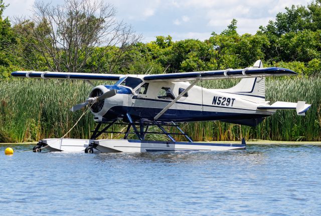 De Havilland Canada DHC-2 Mk1 Beaver (N529T)