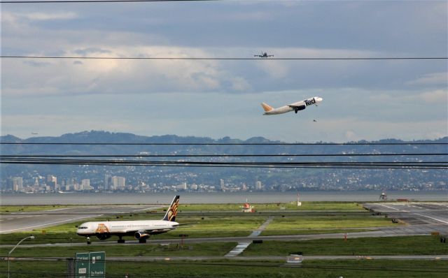 Boeing 747-400 (N181UA) - SFO wire photo: literally - UAL 747 on final for 19L Feb 2005 - as ATA 757-300 set to cross 19R as TED A320 departs 10LR. The Transmission wires here ruined this view but with proper aiming and editing I could get a few shots that are decent to post. I also have a video here of an interesting EVA Air 747 landing on my YT page.