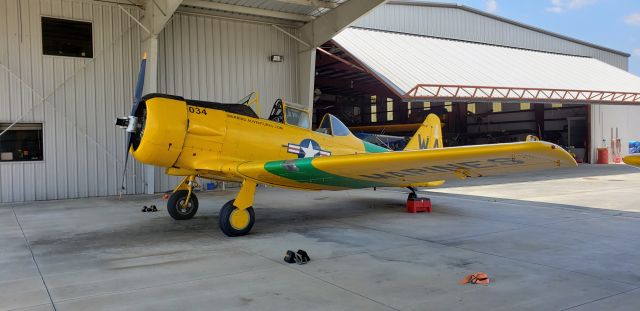 North American T-6 Texan (N452WA)