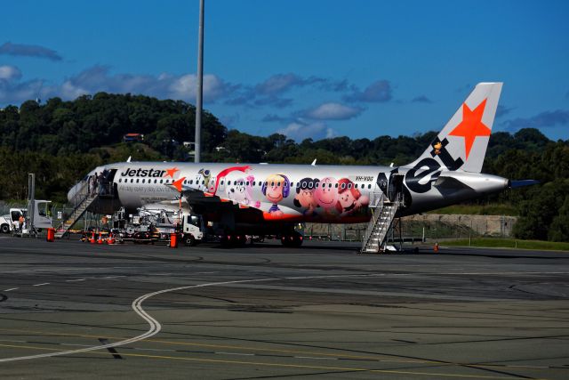 Airbus A320 (VH-VQG) - Snoopy learns to fly