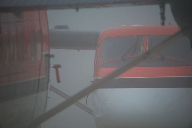 De Havilland Canada Twin Otter — - Twin Otters in the mist.
